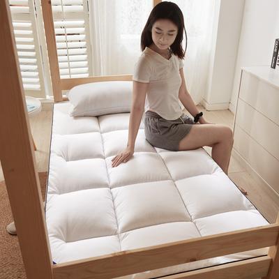 2022新款羽丝绒加厚立体床垫学生单人宿舍床褥 1.2×2.0m厚度5cm 白色