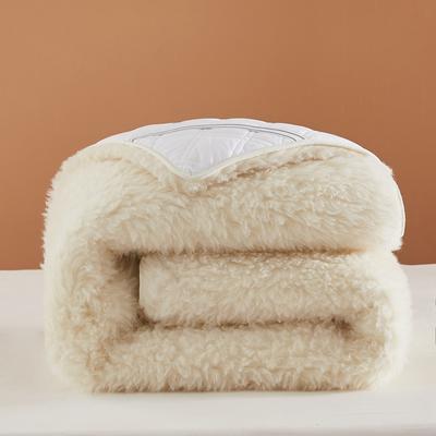 2022 新款澳洲羊毛加厚 床褥 软床垫 秋冬保暖双人 0.9*2.0m 升级款长毛白色