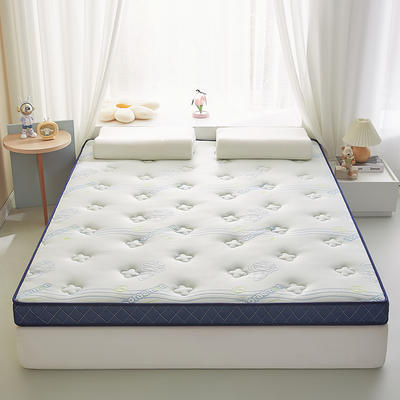 2024新款提花针织棉乳胶立体床垫--大床图 90*190cm（6cm） 卡通A梦