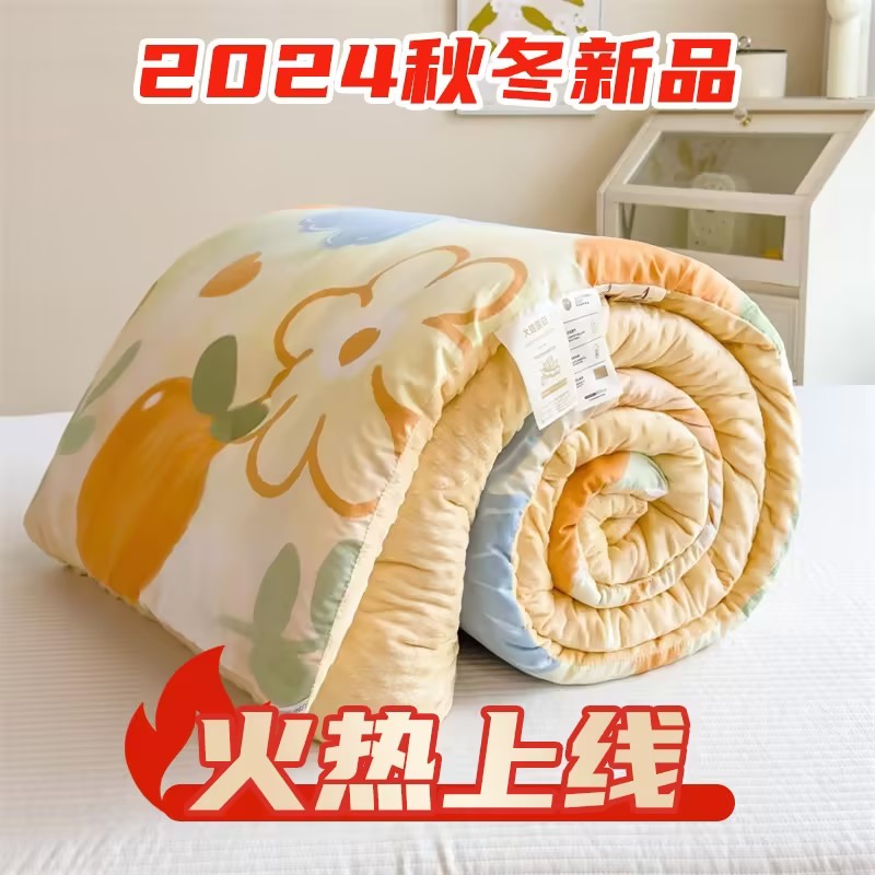 2025新款A类水洗棉印花豆豆绒秋冬被