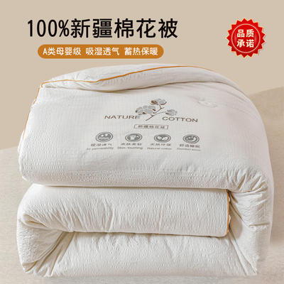 2024新款水洗棉泡泡纱新疆棉花被被子被芯 1.5*2.0米 3.5斤 珍珠白