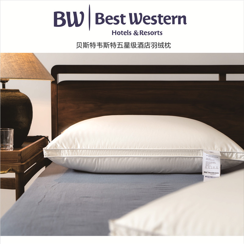 Best Western贝斯特韦斯特酒店枕 羽绒枕 枕头 枕芯 BW羽绒枕