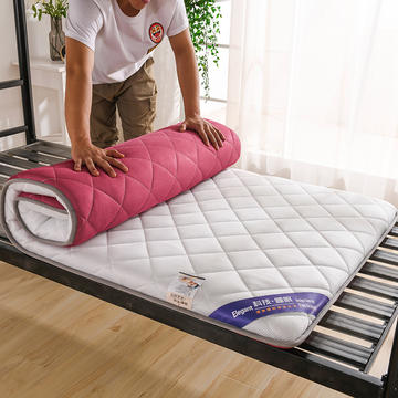 夏季3D透气床垫  学生垫（双面可用）小床款