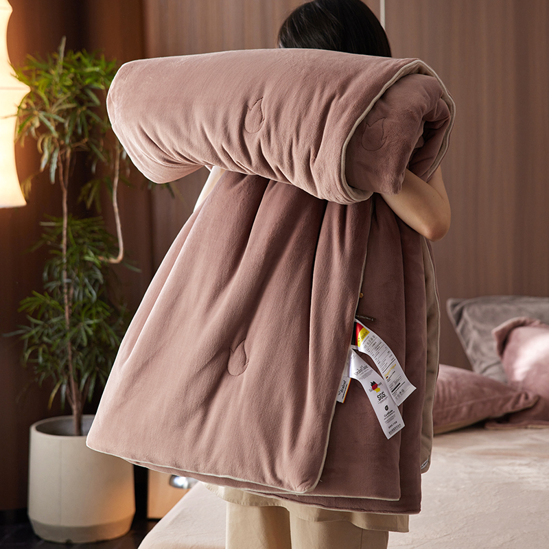 2025新款德绒dralon奶呼呼懒人被子被芯 可配四件套 温柔豆沙