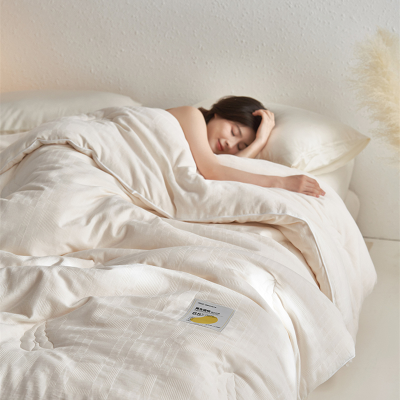 2024新款安芯-全棉华夫格65大豆被  被子被芯