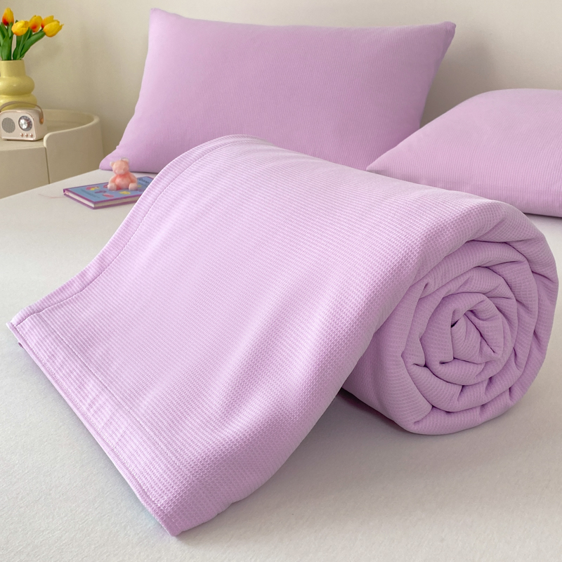 2024新款A类凉感华夫格竹纤维冷感毯毛巾被 100x150cm 淡紫