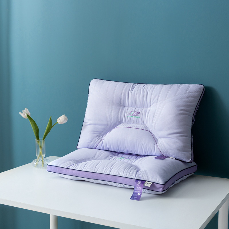 2023新款闪净定型枕枕头枕芯 48*74cm/只 紫