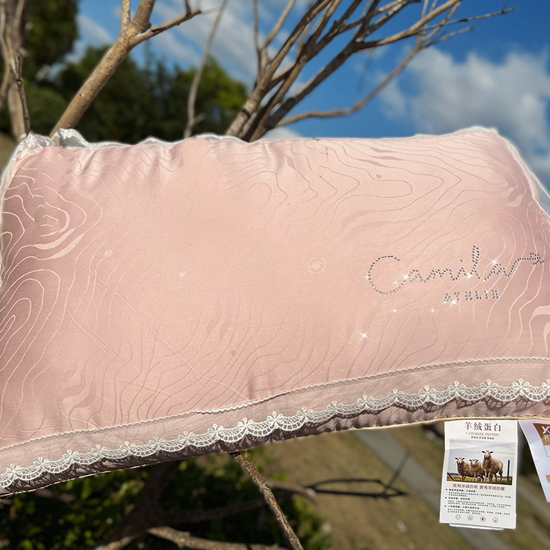 2023新款羊绒蚕丝蛋白蕾丝枕枕头枕芯 粉色