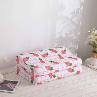 2022新款4D中空纤维枕 枕头枕芯 带外套-草莓 40*60cm/只 900g