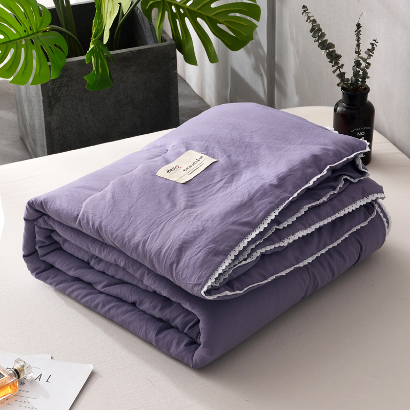 2019新款-简约纯色水洗棉夏被 夏凉被 空调被 被芯 夏被200*230cm3斤 灰紫