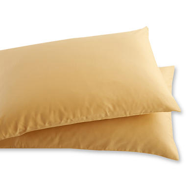 40s纯色枕套（一对） 48cmX74cm 驼色