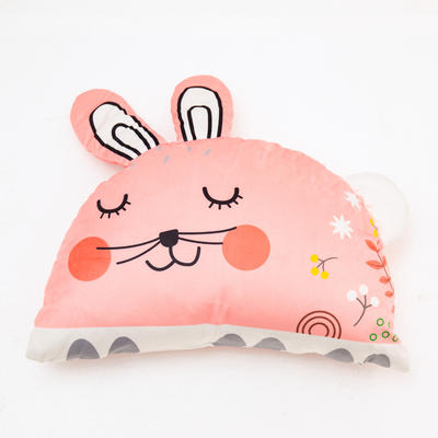 2019新款韩国网红靠垫抱枕（可拆卸） 52cm*35cm 兔子