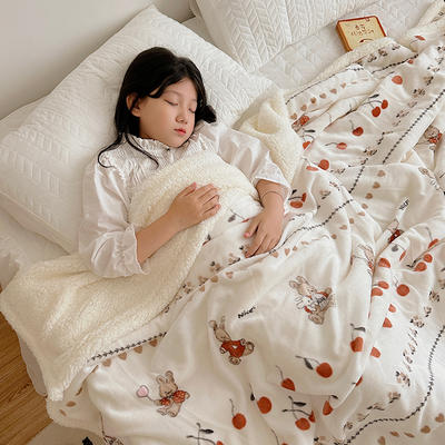 2023新款毛毯ins加厚牛奶绒羊羔绒毛毯午睡毯沙发盖毛毯系列二 100x150cm 樱桃爱米