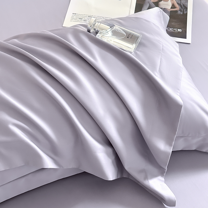2024新款现代轻奢A类50S100支长绒棉纯色系列-单枕套 枕套/对 紫灰
