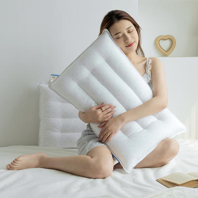 2021新款水洗定型枕系列-全棉小碎点扁平低枕头枕芯48*74cm/只 蓝色