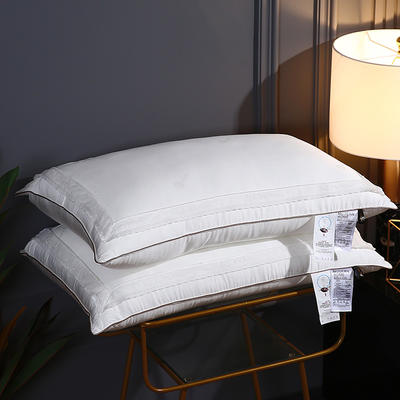 2021新款轻奢枕芯系列-蕾丝刺绣珍珠美颜枕枕头枕芯48*74cm/只 白