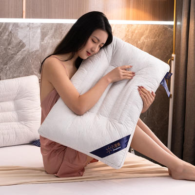 2021新款全棉枕头乳胶绗缝功能决明子枕芯枕头48*74cm/只 石墨烯枕头决明子白色