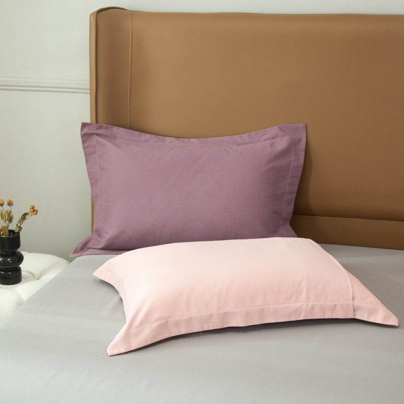 2022新款纯色系-生态磨毛单品枕套系列 48*74cm一对 梦幻紫 果粉