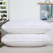 2023新款-全棉双线绗缝枕 立体低枕900克白48x74/只