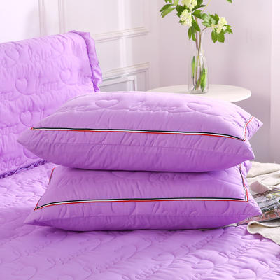 2018新款水洗磨毛夹棉枕套 48cmx74cm/一对 紫色