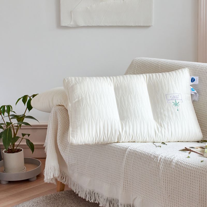 2021新款CBD美肤安睡定型分区羽丝绒单人功能枕头枕芯 白色48*74