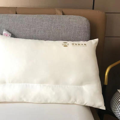 2021新品玻尿酸美眠枕头枕芯 白色 48x74cm/只装