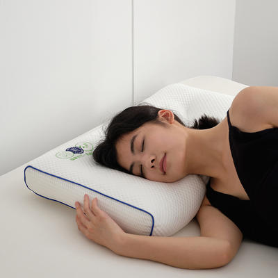 2024新款竹纤维系列枕头枕芯 竹纤维分区定型枕/只