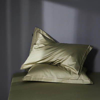 2023新款小奢绸简约全棉系列四件套单品系列-瑰丽枕套 枕套48*74cm （两只） 瑰丽-格林绿-枕套
