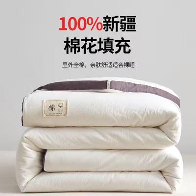 2023新款全棉水洗棉立体棉花被 150*200cm（4斤） 立体白