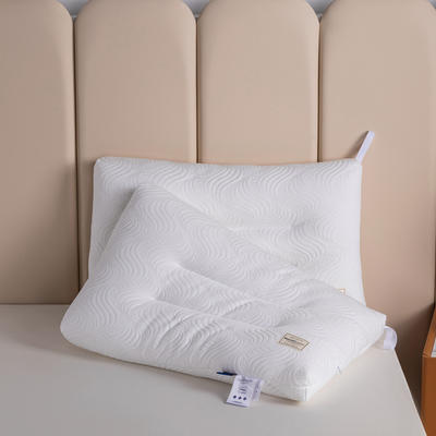2023新款英伦风范枕  枕头枕芯48*74cm（±1） 英伦风范枕