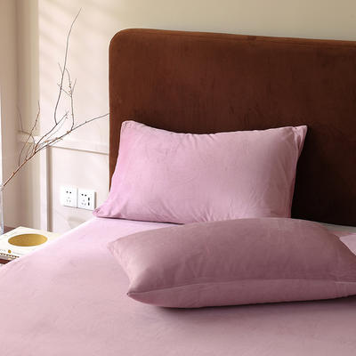 2022新款秋冬加厚天鹅绒系列单枕套 48*74cm枕套一对 紫色纯色