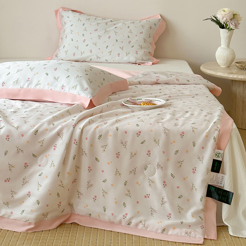 2025新款小茶芯升级版A类60支天丝莱赛尔美颜夏被夏凉被空调被韩系天丝夏被