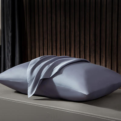 2020新款-素色长绒棉系列单枕套/对 48cmX74cm 紫灰