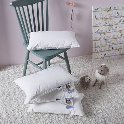 境月 爆款 依沃珑防螨儿童枕-单边 儿童枕头 枕芯 30x50 白