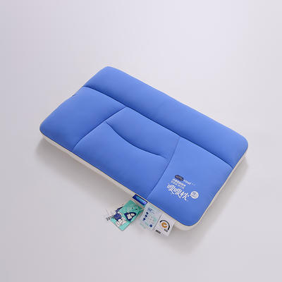2023新款凉感五区护颈枕枕头枕芯 48*74cm/只蓝色