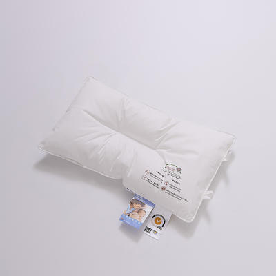 2023新款全新升级依沃珑防螨抑菌枕枕头枕芯 学生款：40*60cm/只
