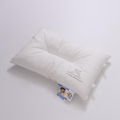 2023新款全新升级依沃珑防螨抑菌枕枕头枕芯 儿童款：30*50cm/只