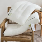 2024新款防螨抑菌可爱护颈熊猫枕系列枕头枕芯 48*74cm/只 熊猫枕-单边护颈款