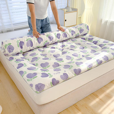 2023新款双层纱印花床垫床褥 1.2x2m 郁金香紫