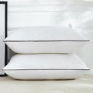 2021新款-赠品高弹枕  枕头枕芯48*74cm/只 白色