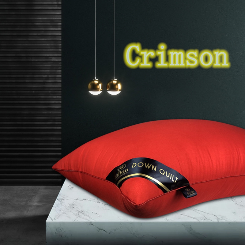希尔顿枕芯pillow hilton酒店希尔顿五星级酒店枕头芯希尔顿枕头 大红550g（超低）