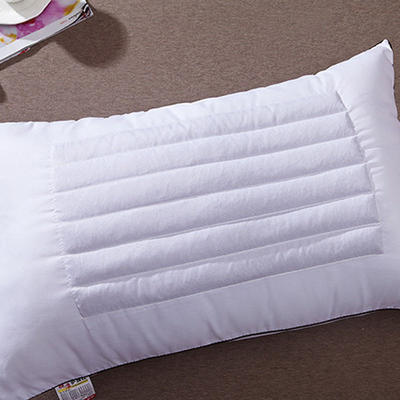 2022新款荞麦壳两用枕头枕芯 白色