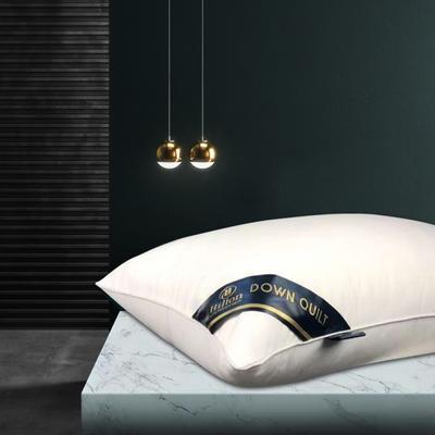 2022新款直播专供希尔顿枕芯pillow hilton酒店希尔顿五星级酒店枕头芯希尔顿枕头 白色550g（超低）