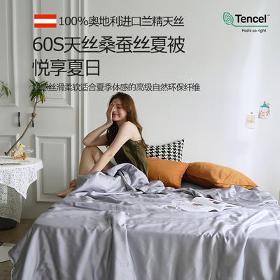 2024新款Tencel® 60s天丝可水洗桑蚕丝凉感夏被 200X230cm 紫电灰