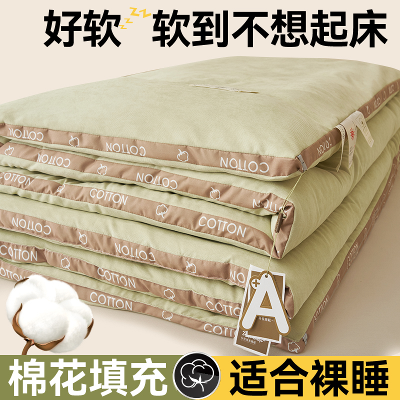2023新款蓬蓬纱新疆棉花被冬被 被子被芯 150*200cm6斤 棉语-抹茶绿