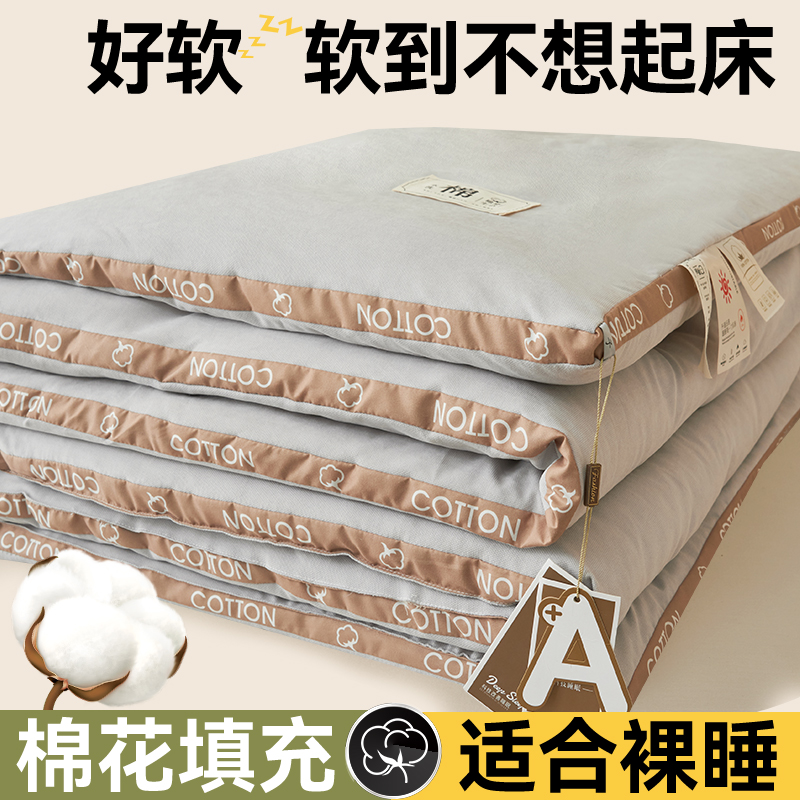 2023新款蓬蓬纱新疆棉花被冬被 被子被芯 150*200cm6斤 棉语-云灰