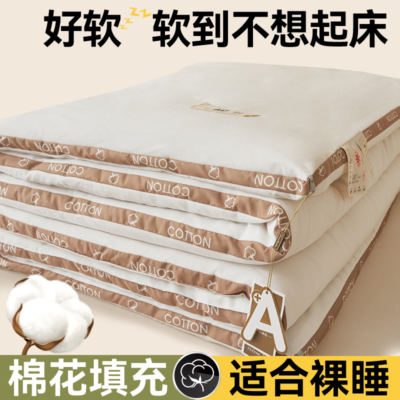 2023新款蓬蓬纱新疆棉花被冬被 被子被芯 150*200cm6斤 棉语-珍珠白