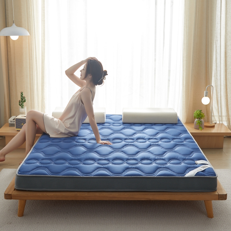2022新款乳胶纤维棉立体床垫 0.9*1.9m（厚度6cm） 乳胶硬质棉立体爱意浓蓝-成人款