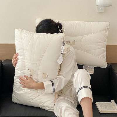 2023新款羊绒蚕丝子母枕  枕头枕芯48*74cm ±2cm 二合一枕