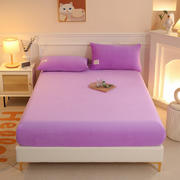 2023新款牛奶绒纯色全包床笠系列 枕套/只 紫色